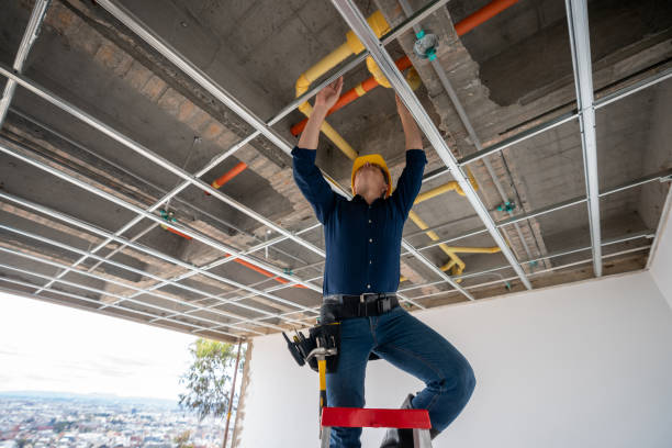 Best Leak Detection Services  in Wallburg, NC